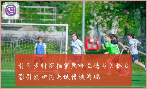 昔日多特搭档重聚哈兰德与贝林合影引发回忆老铁情谊再现